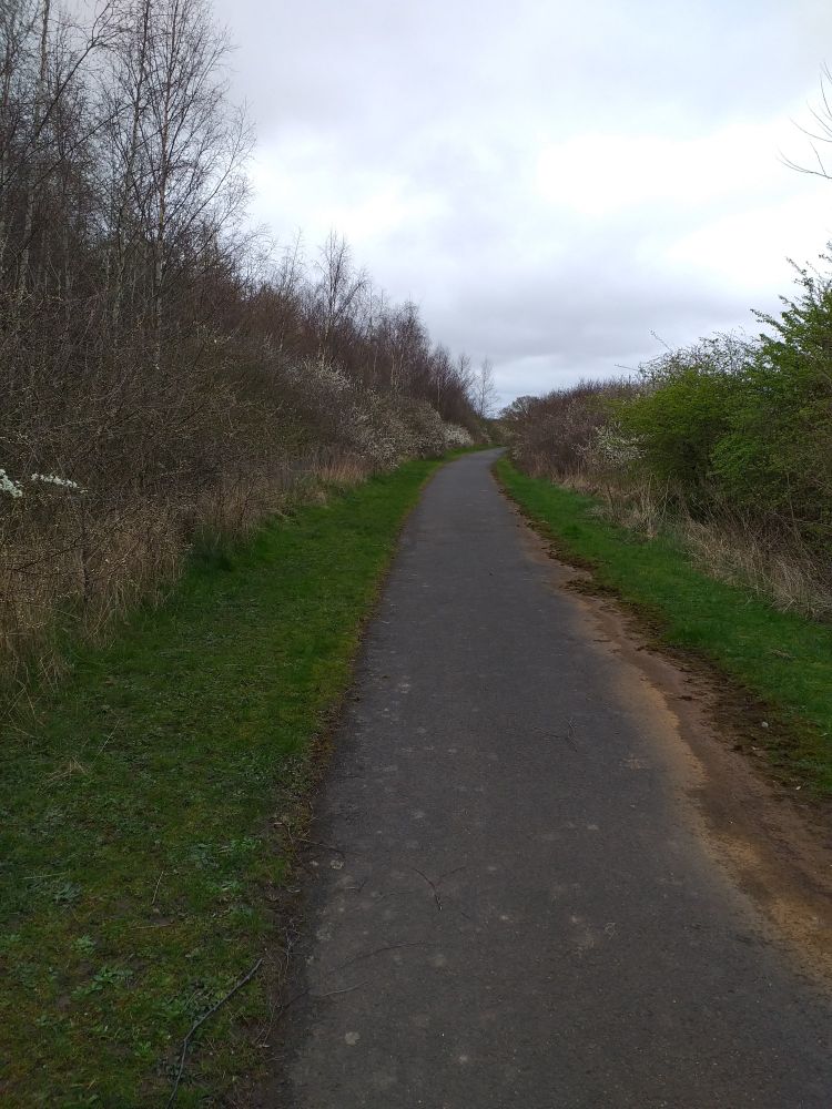 A tarmac path with grass verges and trees and bushes either side.