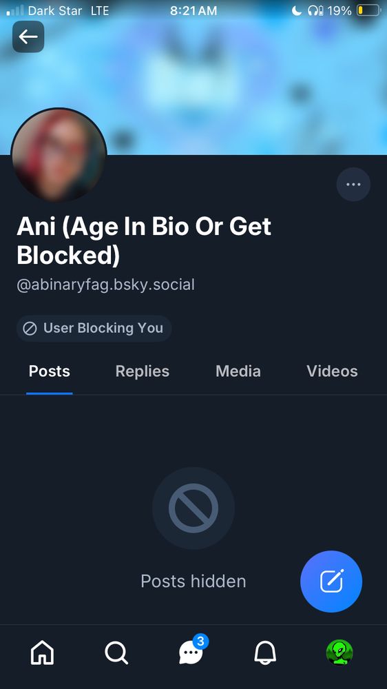 Screenshot of someone’s Bluesky account 