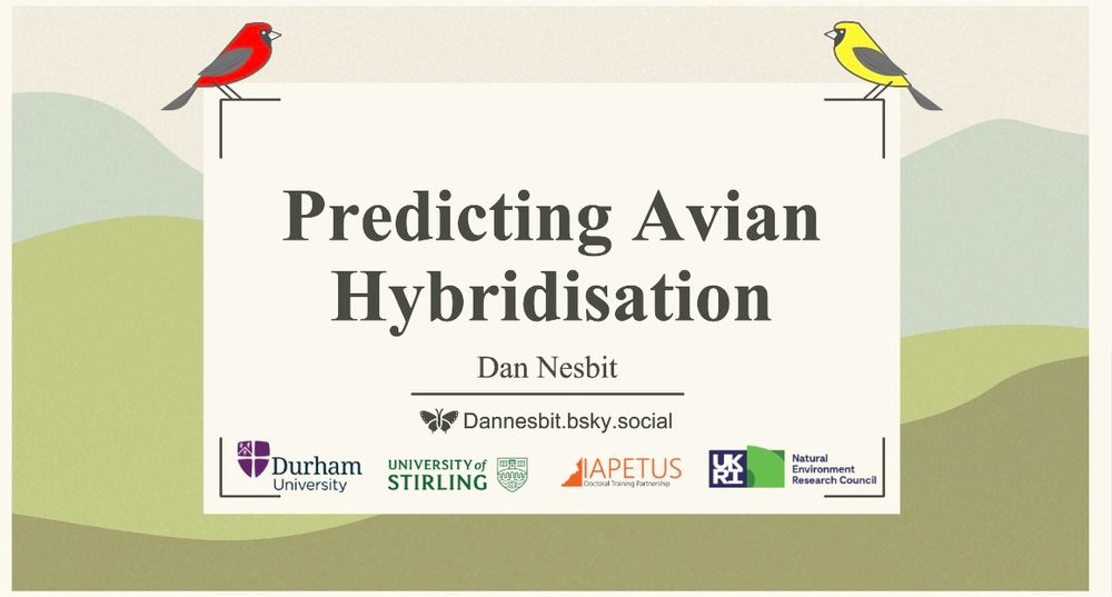 Predicting avian hybridisation title slide 