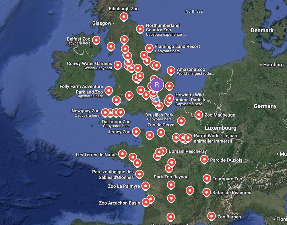A map showing the UK and most of Europe, with pins on locations where capybaras can be seen