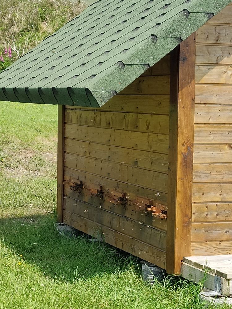 Exterior of bee bed cabin showing bee access points 