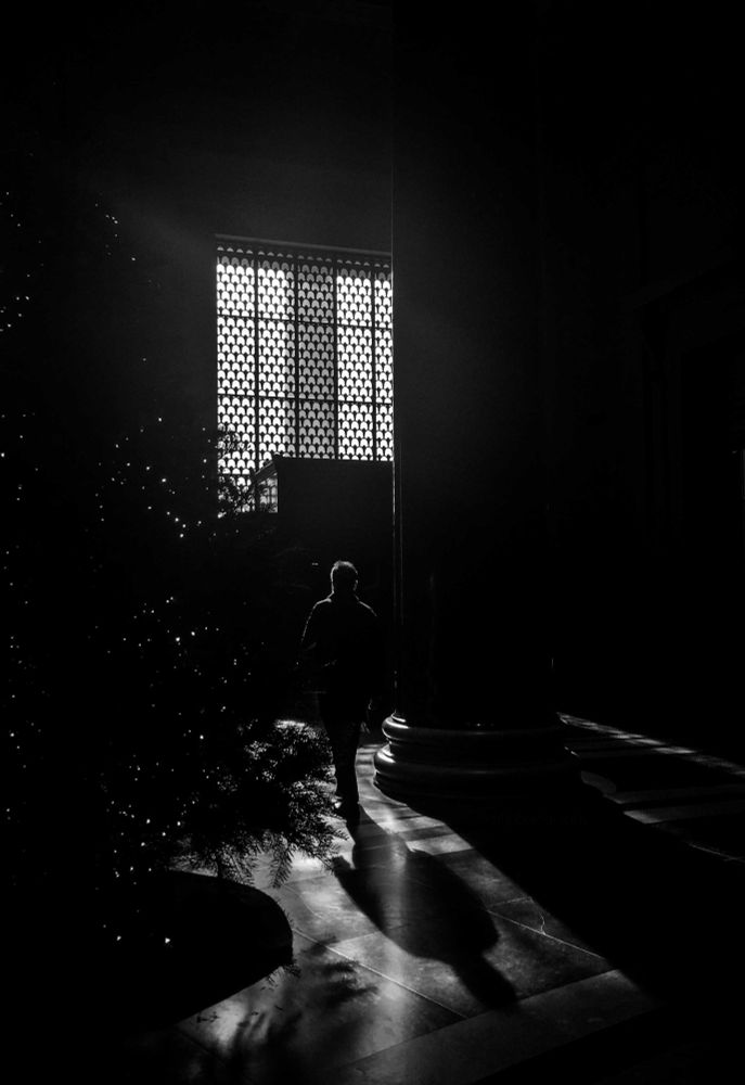 Black and white high contrast shot of a man walking toward the National Gallery of Art door in DC, which is a dark black square under a bright ornate window with sunlight streaming in and lighting the floor.  The sun is also creating a shadow of the man behind him on the floor.  To the right of him is a large round column in shadow and to the left is the silhouette of a Christmas tree with small white twinkle lights.