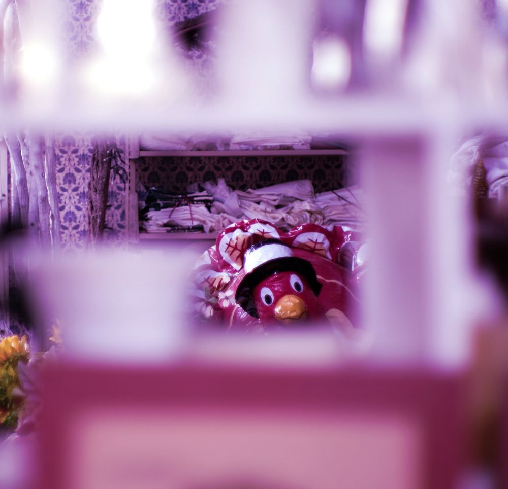 The foreground is blurry. In the distance, a decorative turkey finds the depth of field.