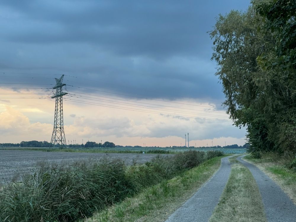 Ein befestigter Weg verläuft links an einem Feld und rechts an Bäumen vorbei. Direkt am Weg links ist hohes Gras, am Feldrand steht ein Strommast. Dahinter befinden sich Bäume und Windräder. Der Himmel ist dramatisch grau bewölkt, der Horizont ist lachsfarben.

