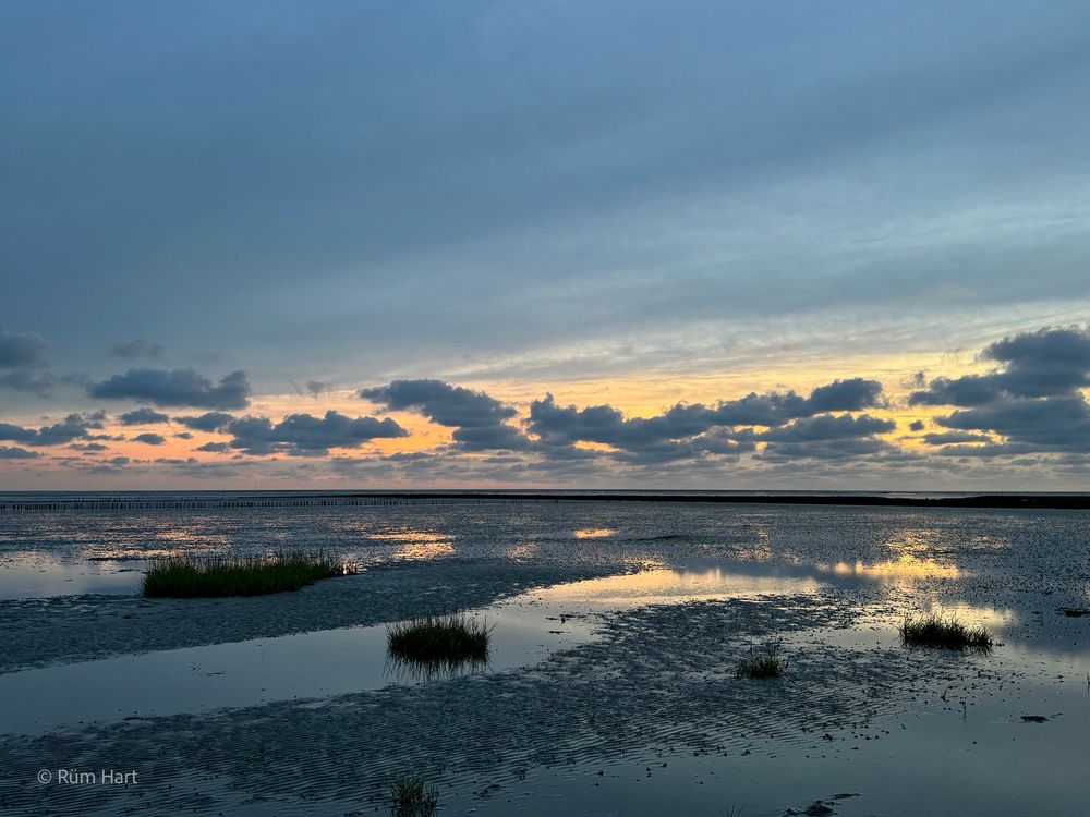 Das Watt am Abend. Der Himmel ist grau, am Horizont ist eine Schleierwolke, darüber sind zahlreiche graue Wolken. Hinter den Wolken ist der Himmel gelb und orange. Im Watt sind Wasserflächen, die den Himmel spiegeln. Drei Grasflächen sind im Watt verteilt.