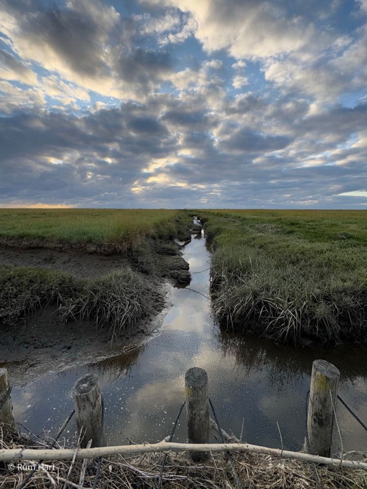 Sicht auf einen Graben in den Salzwiesen am Abend. Im Vordergrund befindet sich eine Lahnung, danach kommt der Graben, in dem Wasser steht und sich der blaue, bewölkte Himmel spiegelt. 
