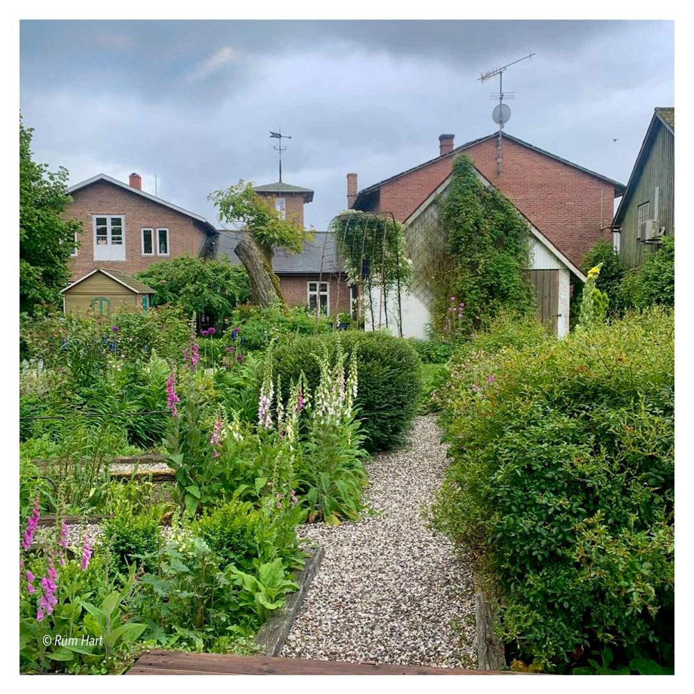 Comment image