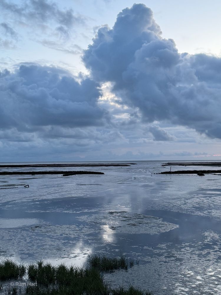 Blick auf das Watt. Im Watt befindet sich eine kleine Grasfläche im Vordergrund, während dahinter auf der Fläche Wasser steht. Zwei Lahnungen, die jeweils unterbrochen sind, ziehen sich durch das Watt. Der Himmel hat viele graue Wolken, aber auch helle Stellen, die im Watt reflektiert werden. 