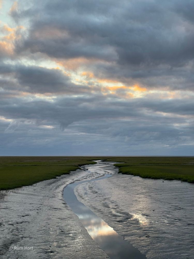 Ein Siel bei Niedrigwasser schlängelt sich durch die Salzwiesen am Abend. Der Himmel ist grau und bewölkt. Durch einen Riss in der Wolkendecke sieht man Orange am Himmel, das sich im Wasser spiegelt. 