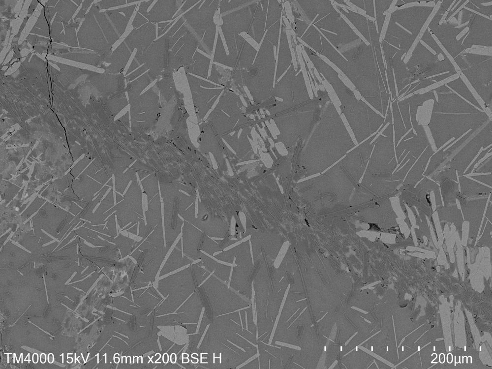 Backscattered electron image of plagioclase with reaction products of clinozoisite, quartz, kyanite, and white mica.