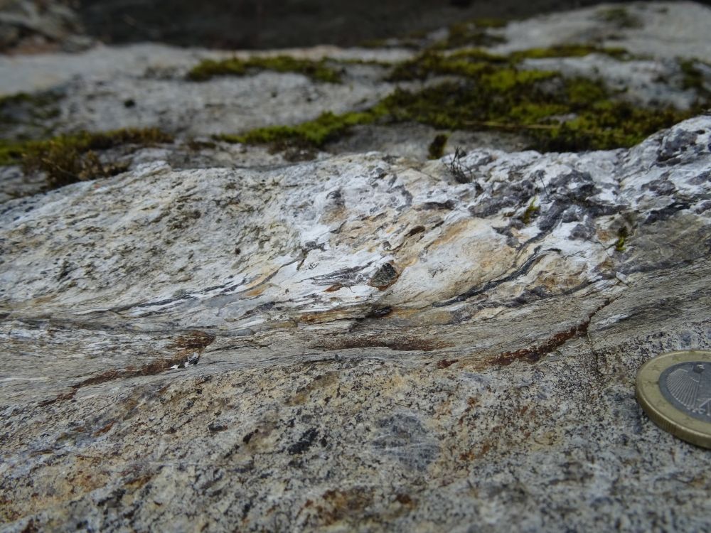 Photograph of a shear zone in a rock. A coin is shown for scale.