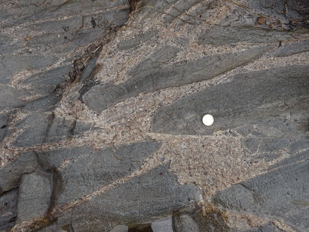 Photograph brighter, more felsic former melts interacting with a dark, mafic rock. A coin is shown for scale.