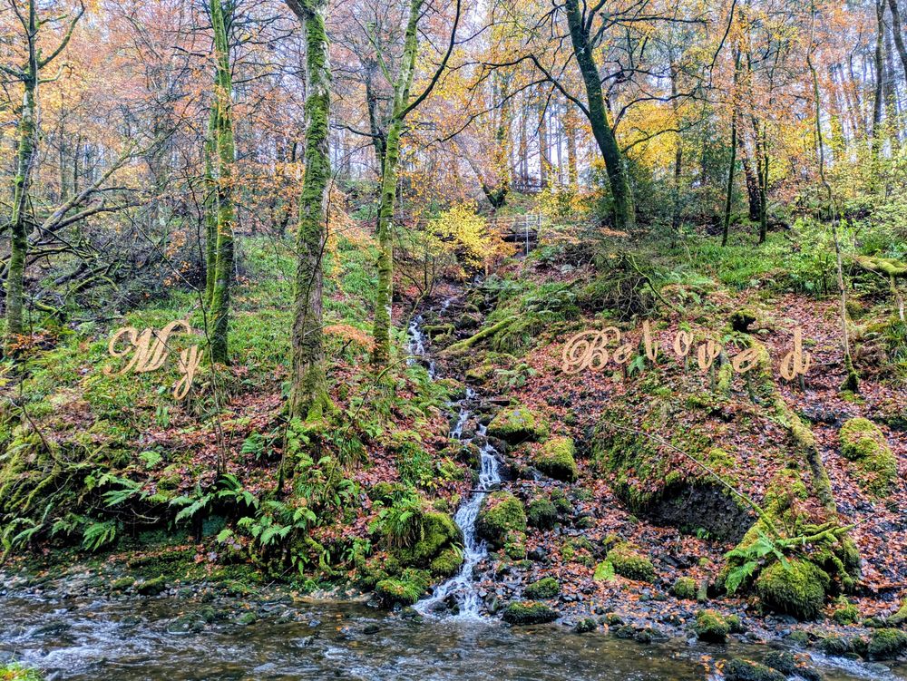A lively river runs through a glen and on the riverbank above it, a series of wooden letters spell out the words My Beloved. A smaller stream runs down between the letters to join the river.