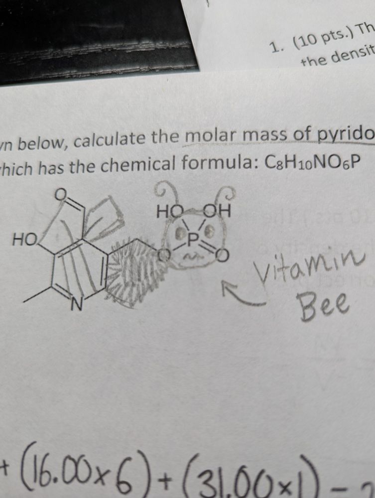A doodle by a student who turned the molecular structure for vitamin B6 into a bee