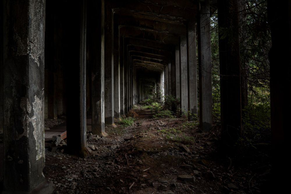 Photograph of the area underneath an old concrete bridge, covered in shadow. To the right is a forest.