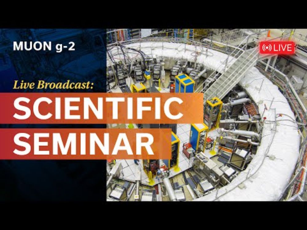 Final Muon g-2 Measurement at Fermilab