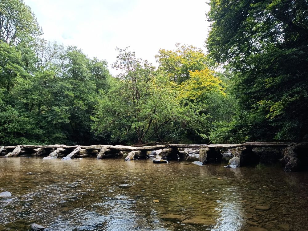 Wasser,Tarr Steps in gesamter Länge,dahinter Uferbewuchs