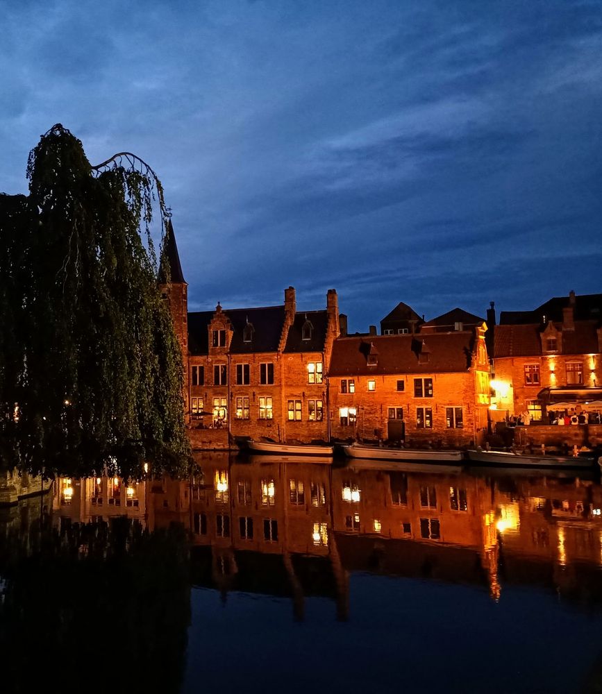 Abendlich beleuchtete Häuserzeile spiegelt sich in einem Kanal in Brügge links im Bild noch eine Trauerweide 