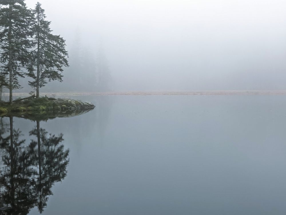 Neblige Seefläche,links ein dich im Wasser spiegelnder Baum 