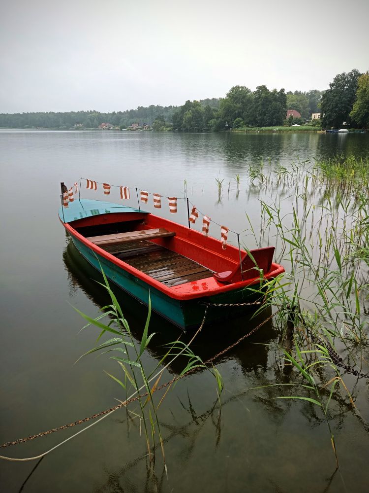 Boot, kräftige grün rote Farbe, regnerischer grauer Tag,Boot in Ufernähe vertäut