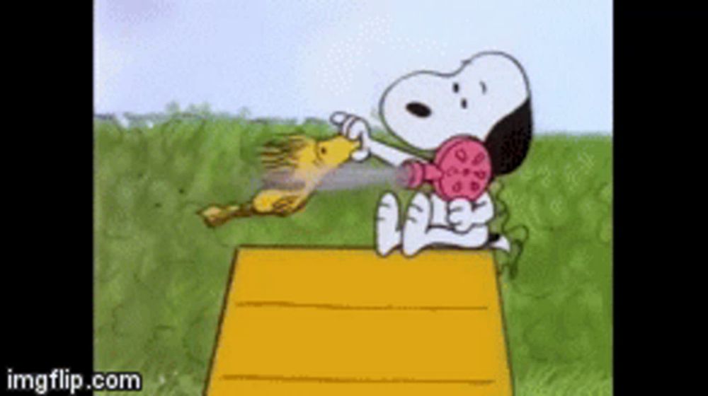 snoopy and woodstock are sitting on a box in a field .