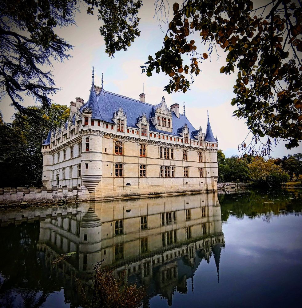Schloß an der Loire spiegelt sich im Wasser, Bäume ringsum und Foto von Ästen umrahmt 
