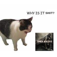 the 'why is it empty?' cat shouting 'why is it shit?' at Dark Souls 2 Scholar of the First Sin