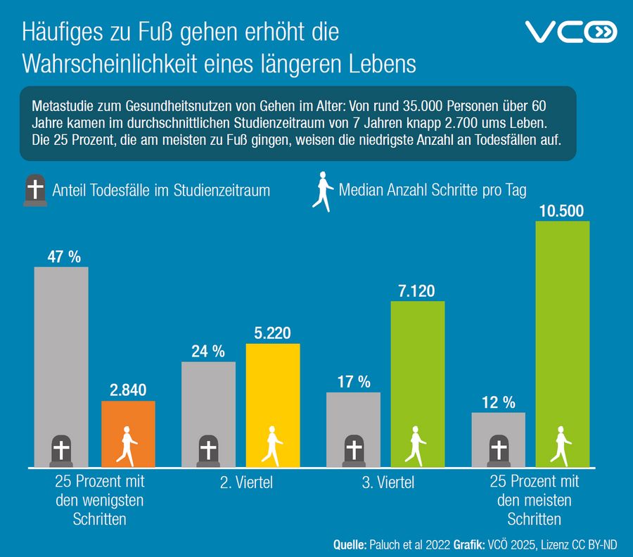 Die Grafik des VCÖ fasst die Ergebnisse einer Metastudie mit den Ergebnissen von mehr als 35.000 Personen zusammen. Schon weniger als 10.000 Schritte pro Tag haben bei älteren Menschen eine sehr positive Gesundheitswirkung