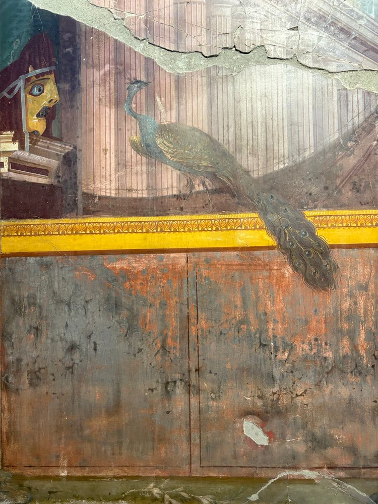 A lovely peacock with theater mask and architectural background, Oplontis