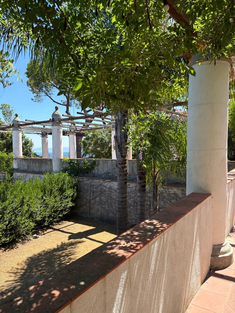 Trellises of the Villa Arbusto, Pithecusae Museum, Ischia