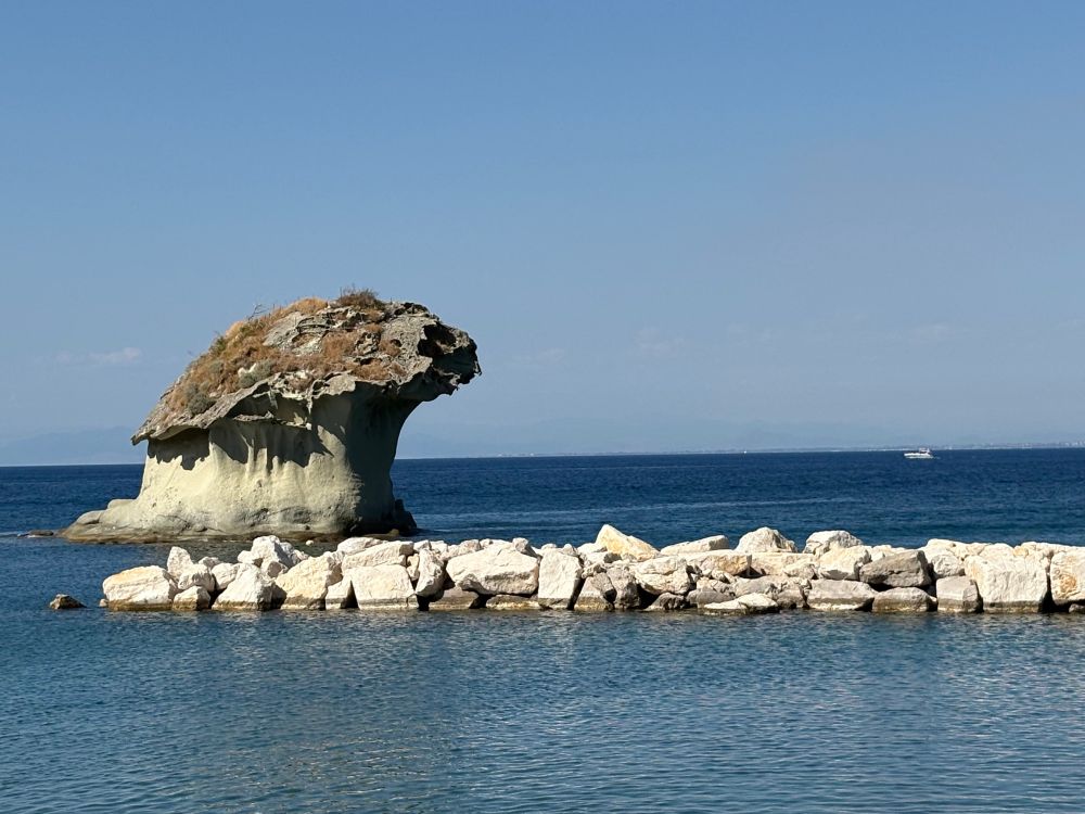 A mushroom in the sea