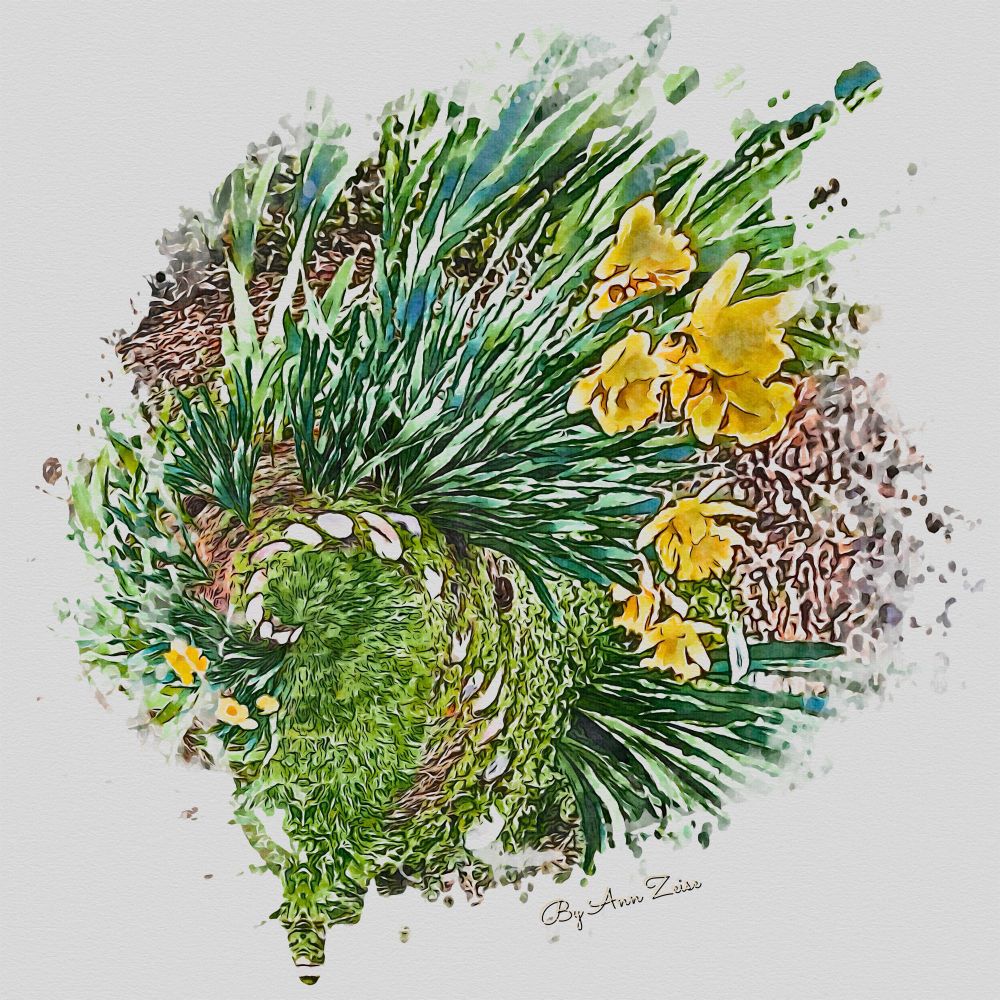 A watercolor-style image featuring a spiral arrangement of green foliage and bright yellow flowers, possibly daffodils. The composition creates a swirling effect, with the leaves and flowers radiating outward from the center. The background is a mix of earthy tones, and the image has an artistic, abstract quality. In the bottom right corner, there is a signature that reads "By Ann Zeise."