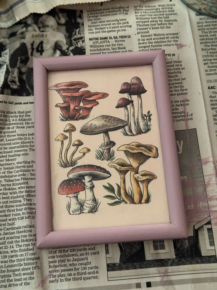 A pale purple painted frame sitting on old newspaper, the frame has a print of various mushrooms inside. 