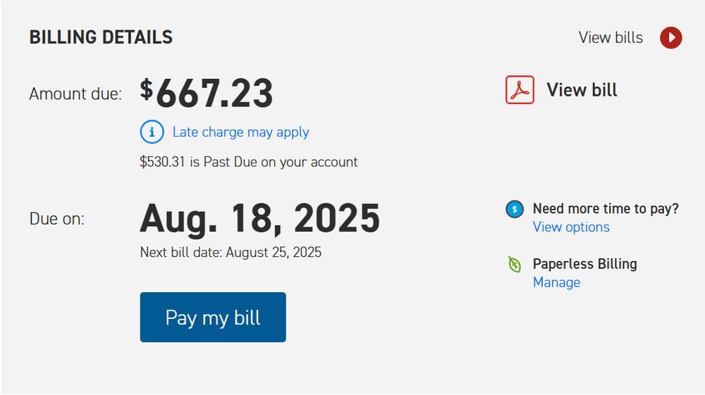 This is my bill. Since I left my previous place, before I was evicted, the fees just transferred to my new place. I do not make this much to pay it in full, let alone the past due balance. 

I just spoke with them via chat and they said they are unable to do any payment arrangement, unless I make a past due payment of $167.00, which I unfortunately do not have since my money has been going to other bills and getting a portable AC for my apartment due to my central air not being fixed for over a month, and the city housing council has to follow protocols for them to follow suit with fining my apartment landlords and they will not be back until August 22nd. 

I will be focused on comms all this weekend and streaming on Sunday because I want to get a buckload of updates/finished comms out to people and I apologize that I have taken as long as I have and this will not happen again.

This new apartment had me dipping into my finances more than I am comfortable with causing even more unnecessary stress that I should not have to deal with, whatsoever. 