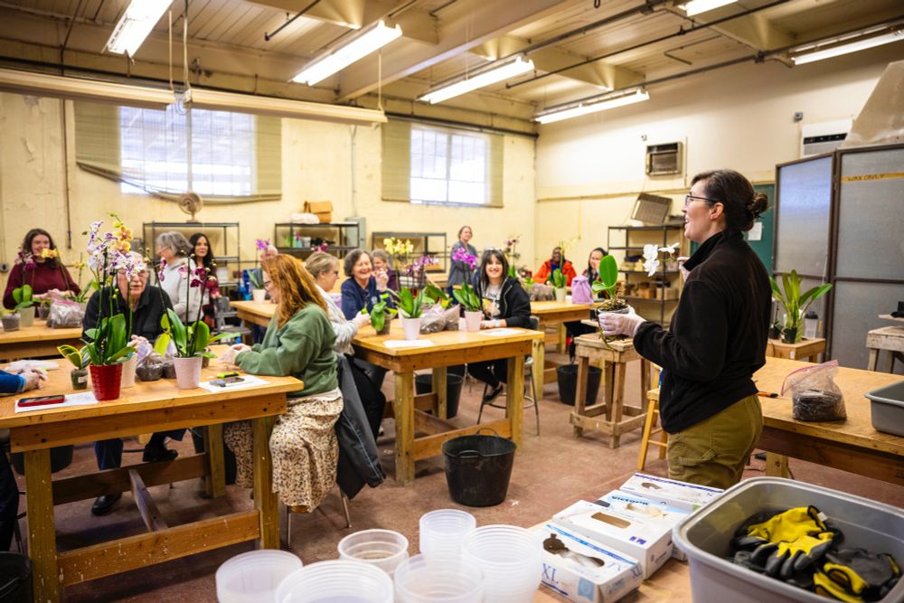 A class of people in an indoor studio watch as a horticulture staff member holds up a plant during an orchid workshop.