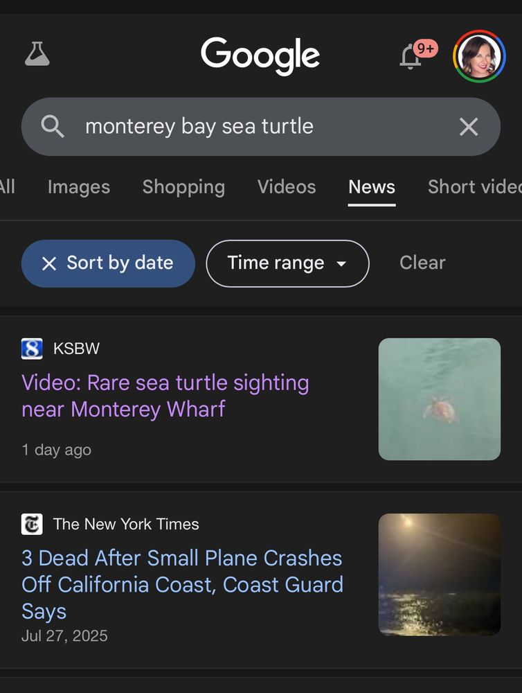 Google News results for “Monterey bay sea turtle”
Headline 1: “Video: Rare sea turtle sighting near Monterey Wharf” - KSBW - 1 day ago 
Headline 2: “3 Dead After Small Plane Crashes Off California Coast, Coast Guard Says” - New York Times - Jul 27, 2025