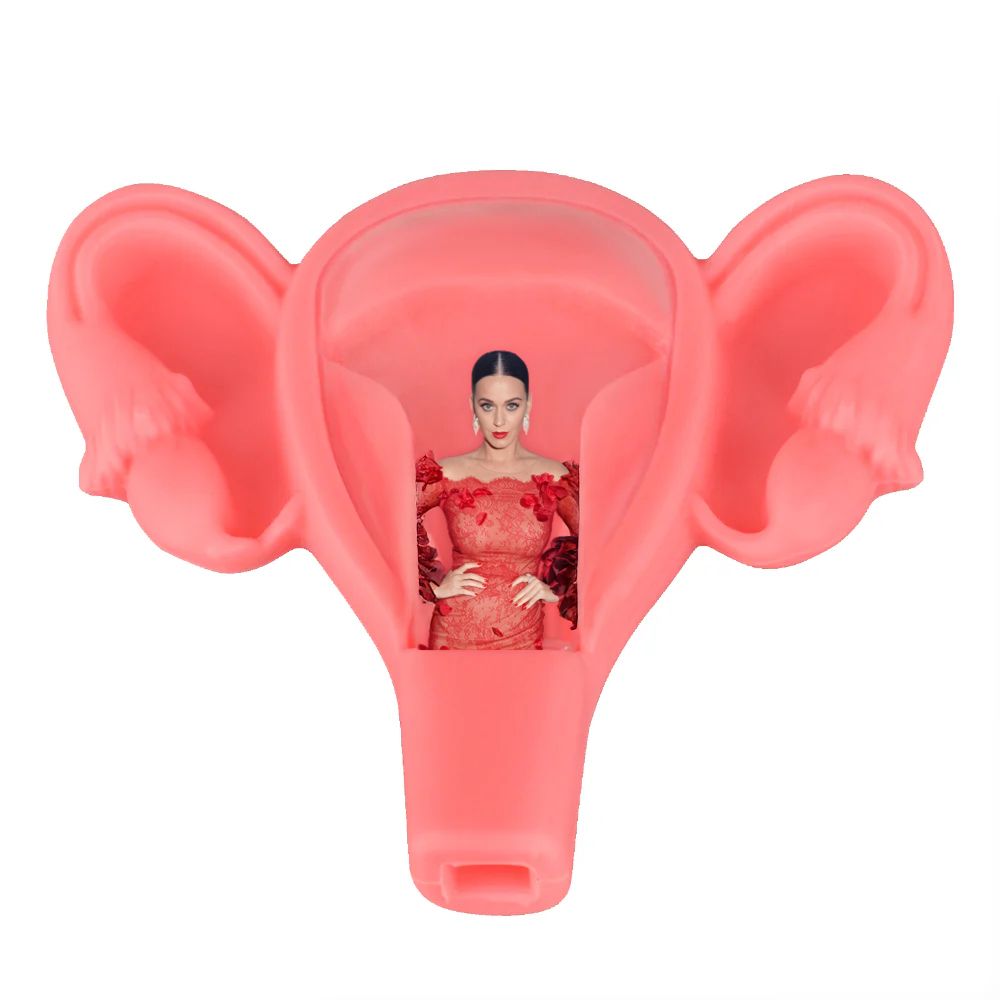 Katy Perry Menopause: Katy Perry in a uterus