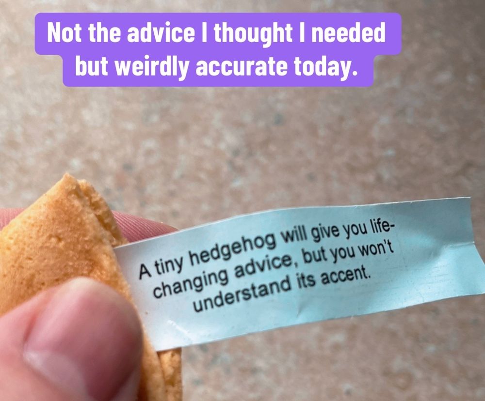 A picture of a fortune cookie with the fortune "A tiny hedgehog will give you life-changing advice, but you won't understand its accent" written on it.