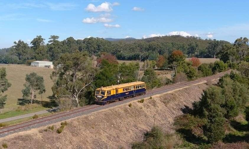 A blue and gold Walker Rail Motor traverses a rail embankment surrounded by bush and properties, with many trees in the background.
