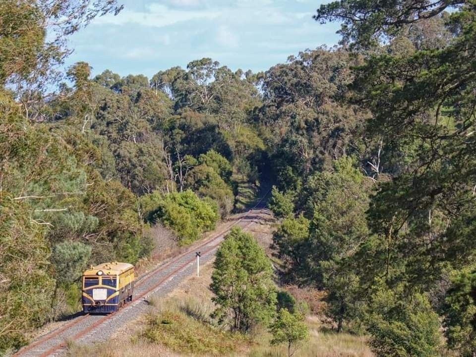 The Walker rail motor traverses along the railway track embankment. There are many trees around it.