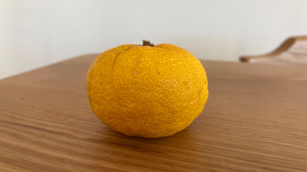 a yuzu on a table.