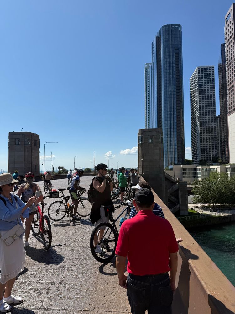 Bikes on LSD. Bike the drive. 