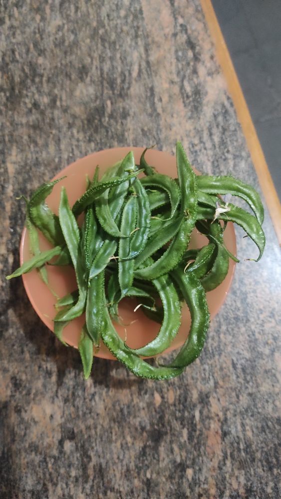 A bowl of Indian broad beans
