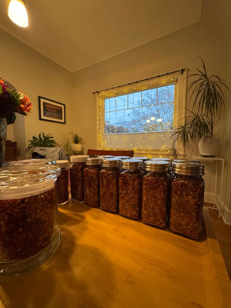 Picture of jarred ground up dehydrated cayenne peppers jarred in spice jars to be used as insanely hot pizza peppers. 