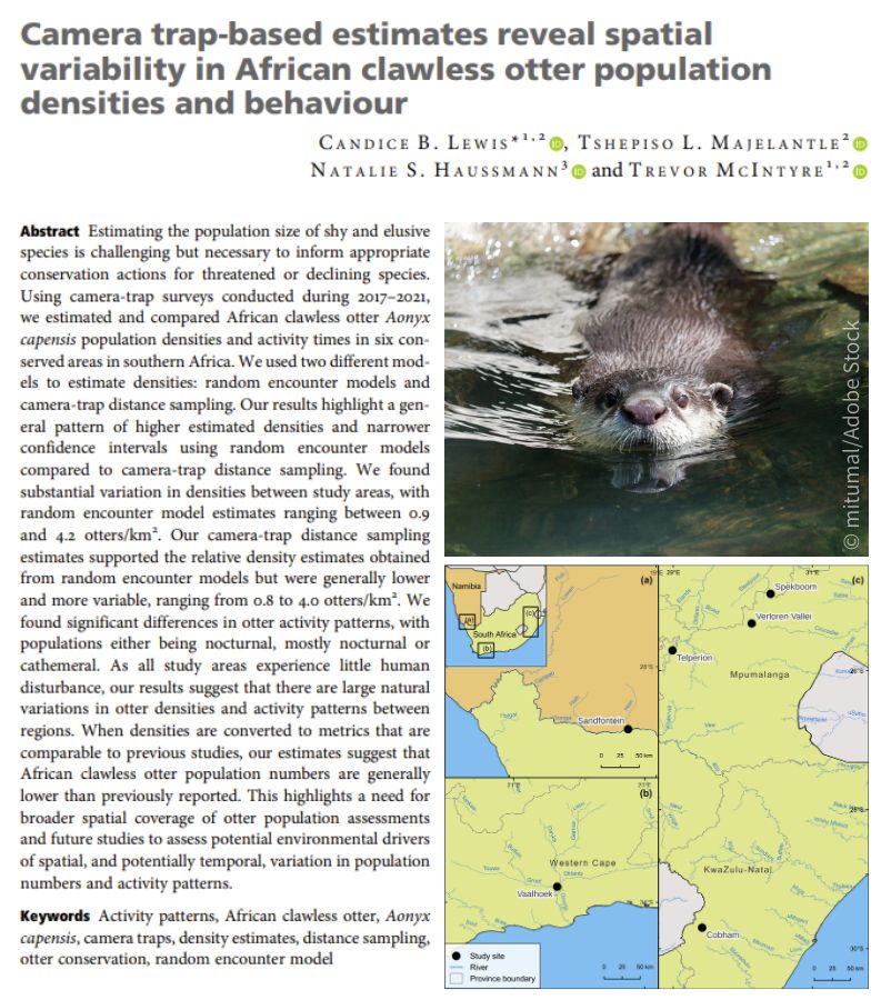 Title and abstract of the article, with an image of an African clawless otter swimming and a map of the study areas in South Africa and Namibia.