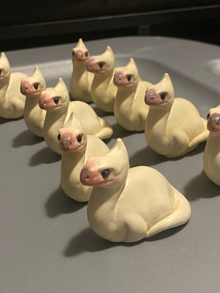 A lineup of baby seikrets