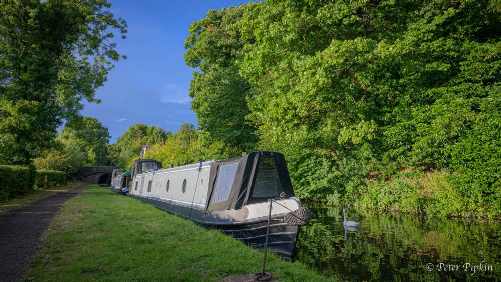Narrowboat Heart of Oak, moored up with another narrowboat behind on a summer's evening in Worcestershire. The sky is blue and the trees are vivid green. The canal is still and calm, reflecting the trees.