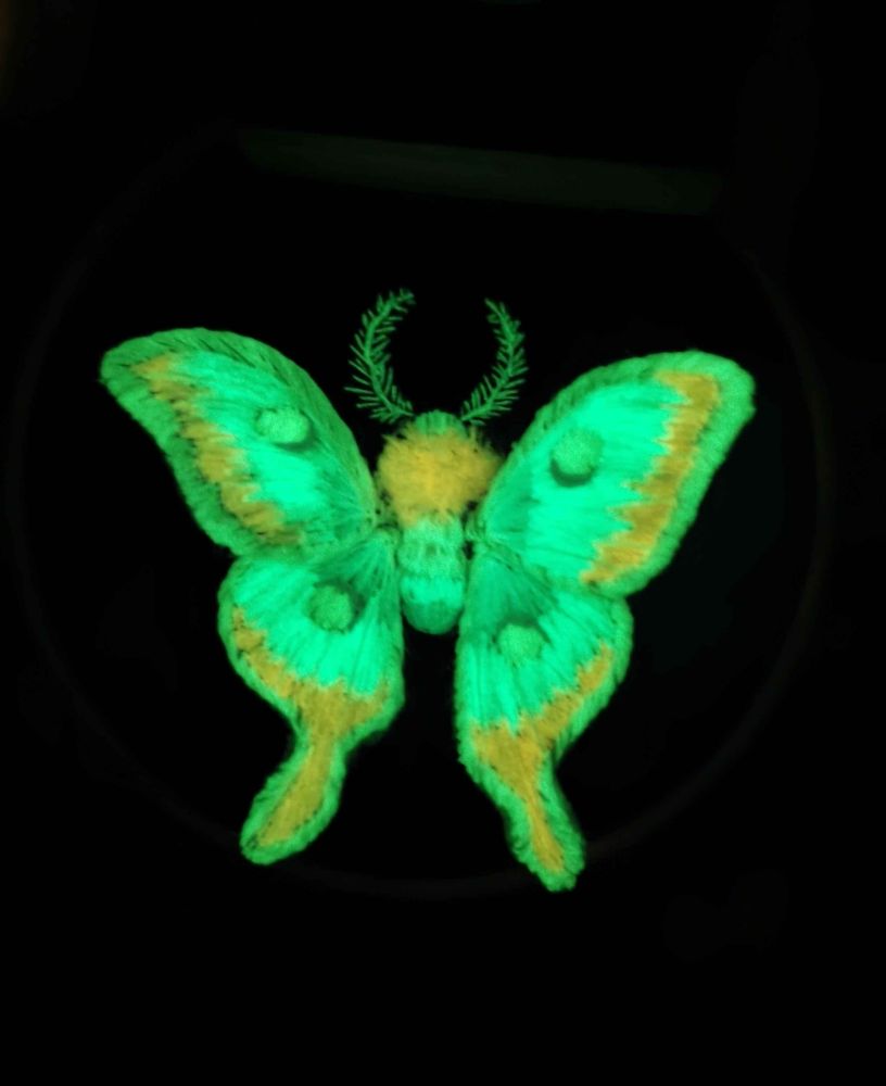 Comment image
