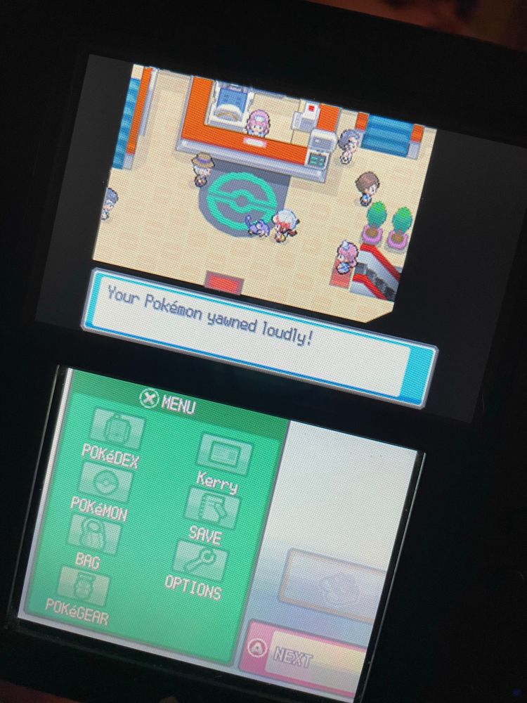 My trainer character talking to my Rattata. Text box says “Your Pokemon yawned loudly!”