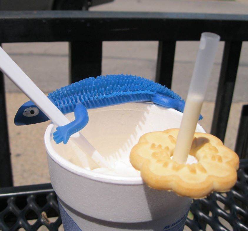 Blue Lizard sits atop a butterscotch malt, hanging onto a spoon. A small cookie rings the straw in the malt cup. This was at Snookie's Malt Shop in Des Moines.